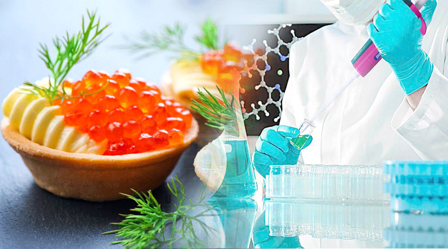 吃貨裝逼指南 | 如何在實驗室做一道奢侈的分子料理